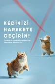 Şımart Akıllı Lazer Kedi Oyuncağı - 7
