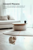 Şımart Akıllı Lazer Kedi Oyuncağı - 5