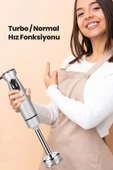 GOLDMASTER  Maximix Silver 1000 Watt 4 Bıçaklı Paslanmaz Çelik Turbo Hız Ayarlı El Blender - 3