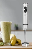 GOLDMASTER  Maximix Silver 1000 Watt 4 Bıçaklı Paslanmaz Çelik Turbo Hız Ayarlı El Blender - 7