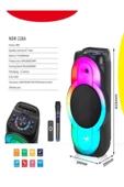 ULTRATEKNO NDR-128A Full RGB Panel 12 inç 40 WATT Taşınabilir Büyük Boy Bluetooth Mikrofonlu Hoparlör - 3