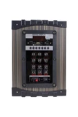 EMRTECH Süper Bass Şarjlı Telsiz Mikrofonlu Amfi Sistemi-Bt-Sd-Usb Lt-908 Model - 3