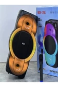 ULTRATEKNO NDR-128A Full RGB Panel 12 inç 40 WATT Taşınabilir Büyük Boy Bluetooth Mikrofonlu Hoparlör - 5