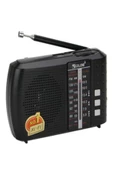 ULTRATEKNO Bluetoothlu Fm Radyo Usb Tf Kart Şarjlı Cep Radyosu Icf8bt - 1