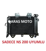 Bajaj Pulsar Ns 200 Uyumlu Orjinal Radyatör 2014-2024 Uyumlu ( Kapaksız )_Supermoto - 2