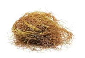 Mısır Püskülü 40 gr - 1