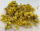 Altın Otu Çayı 20 gr - 1