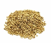 Kişniş 500 gr - 1