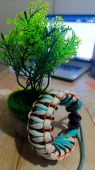 Paracord karışık renk dragon bileklik - 6