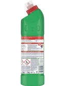 Domestos Yoğun Kıvamlı Çamaşır Suyu Dağ Esintisi 750 ml - 4