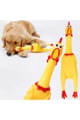 Öten Tavuk Köpek Oyuncağı Large 36 Cm - 3