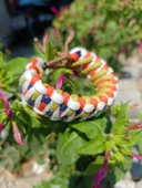 SELANOGLUDESİGN -Açık renk uyumlu paracord bileklik. Dragon model - 3