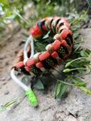SELANOGLUDESİGN - Paracord estetik tasarımlı koyu renk bileklik - 5
