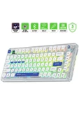 GamePower Gasket Pro X RGB Wireless/Bluetooth/Kablolu Mekanik Hot-Swap Yağlı Switch Gasket Gaming Klavye - 1