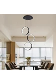 Ludensa / Sarkıt Avize / 30 cm / 30x80 cm / Antrasit Gövde / Renk - 1