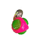 Nanbell 851017 Kedi ve Köpek Dişlik Işıklı Oyuncak - 1