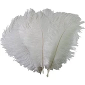 Nettenevime 10lu Set Deve Kuşu Tüyü Beyaz 40-45 CM Gerçek Tüy - 4