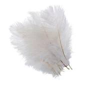 Nettenevime 10lu Set Deve Kuşu Tüyü Beyaz 40-45 CM Gerçek Tüy - 6
