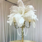 Nettenevime 10lu Set Deve Kuşu Tüyü Beyaz 40-45 CM Gerçek Tüy - 3