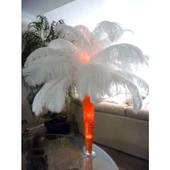 Nettenevime 3lü Set Deve Kuşu Tüyü Beyaz 40-45 CM Gerçek Tüy - 8