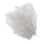 Nettenevime 3lü Set Deve Kuşu Tüyü Beyaz 40-45 CM Gerçek Tüy - 2