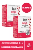 Ocean Methyl B12 Sprey 1000 mg 5 ml 2 Adet - 1