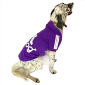 Adidog Purple Hoodie Kapşonlu Sweatshirt Orta ve Büyük Irklar İçin - 1