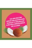Elidor Doğanın Enerjisi Saç Bakım Şampuanı Hindistan Cevizi Yağı 500 Ml X2 Adet - 5