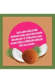 Elidor Şampuan Hindistan Cevizi Yağı Onarıcı&yıpranma Karşıtı 500 Ml - 6