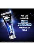Signal SİGNAL WHİTE NOW MEN 75 ML - 3