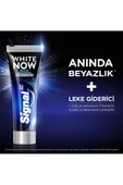 Signal SİGNAL WHİTE NOW MEN 75 ML - 4