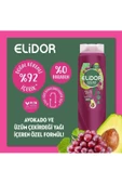 Elidor Şampuan Avokado&üzüm Çekirdeği Yağı 500 Ml - 6