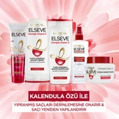 Elseve Komple Onarıcı 5 Yapılandırıcı Bakım Şampuanı 360ml thumbnail 4