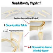 Beliza Sandalye Sert Plastik Krem Altın Gold Koltuk Bahçe Balkon Mutfak Yemek Masası Sandalyesi thumbnail 2