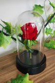 Sevgililer Günü Solmayan Güllü Dekoratif Sade Model - 3