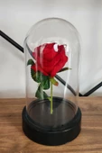 Sevgililer Günü Solmayan Güllü Dekoratif Sade Model - 2