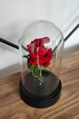 Sevgililer Günü Solmayan Güllü Dekoratif Sade Model - 4