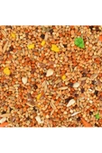 Konuşturucu Yem 150 Gr - 2