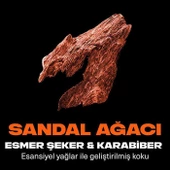 Axe Premium Collection Copper Santal 3 in 1 Duş Jeli 300 ml - 6