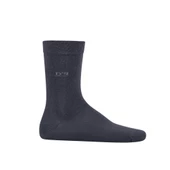 DS Damat Erkek Pamuk Çorap Basic Füme - 2