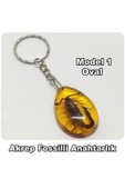 Akrep Fosilli - Toz Kehribar Anahtarlık - 4 Model - 1