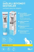 KIKI Kedi Kitten Paste Macun 50gr Skt: 05/2025 - 2