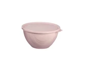 Moon Star Elegance Kapaklı Hava ve Koku Sızdırmaz Yemek Saklama Kabı 0,5 Litre-RBK-310 - 1
