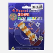 Magnet Neodıum Pano Mıknatısı 16'Lı - 1