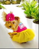 PINK Love Mom Tütülü Köpek Elbisesi, Kıyafeti Tutu - 5