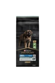 Proplan Büyük Irk Kuzu Etli Yetişkin Köpek Maması 14 kg - 2