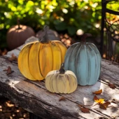 Naturel Görünümlü Balkabakları Ailesi 3'lü Set - 3