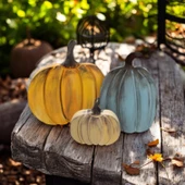 Naturel Görünümlü Balkabakları Ailesi 3'lü Set - 1