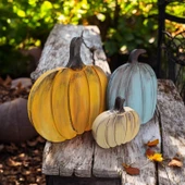 Naturel Görünümlü Balkabakları Ailesi 3'lü Set - 2