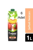 Şeftali Nektarı 1 Lt X 6 Adet Lezzetli Içecek - 1